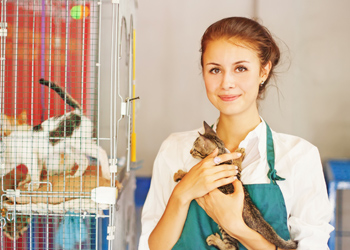 non-profit checking account